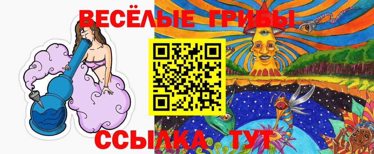 Псилоцибиновые грибы Psilocybe  Вход с VPN  Рассказово 