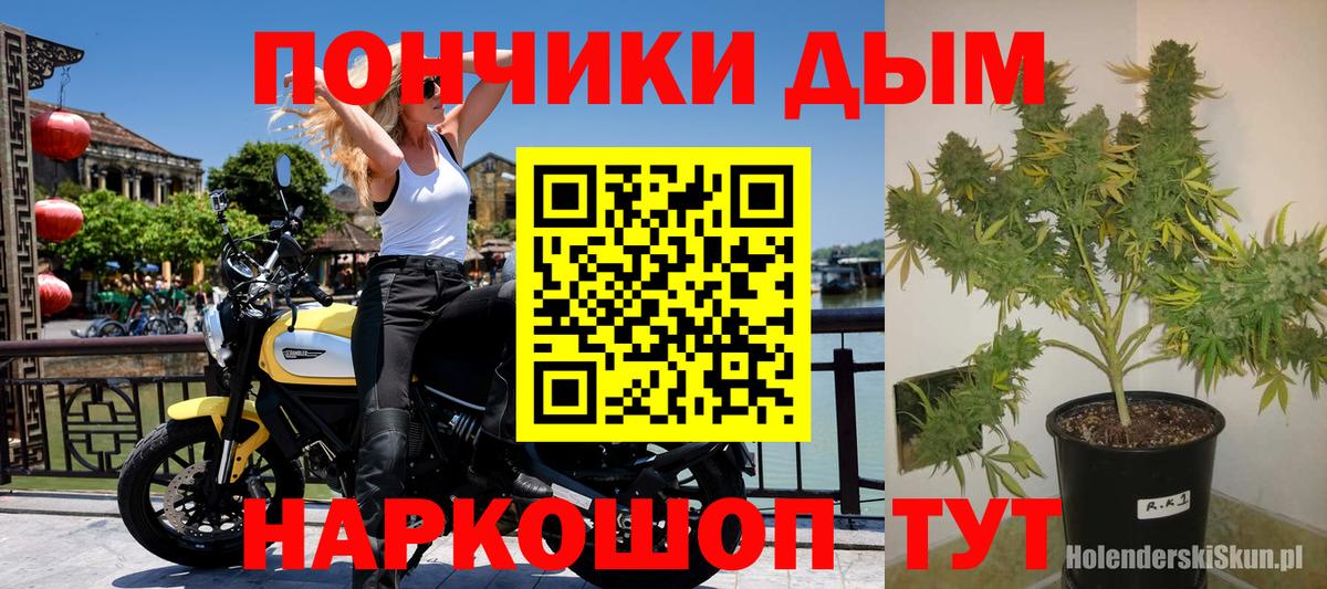 Бошки Шишки LSD WEED  Шишки марихуана VHQ  Каннабис тримм  Канабис SATIVA & INDICA  Рассказово  Вход с VPN 