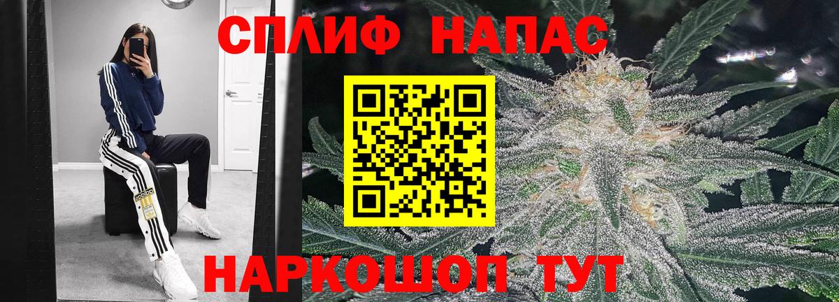 Шишки марихуана марихуана Рассказово